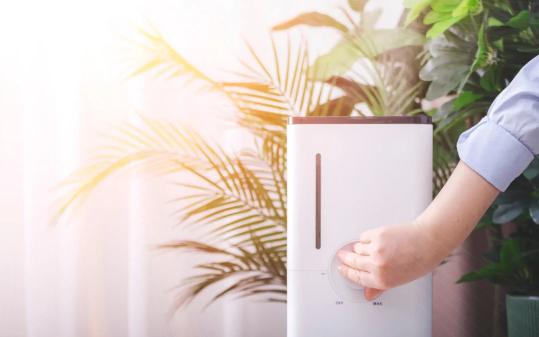 How Can I Test And Improve My Home’s Indoor Air Quality
