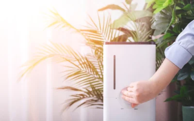 How Can I Test And Improve My Home’s Indoor Air Quality
