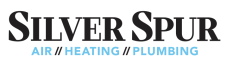 BWS Logo